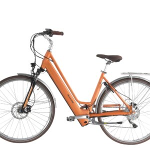 Produktbild Citybike